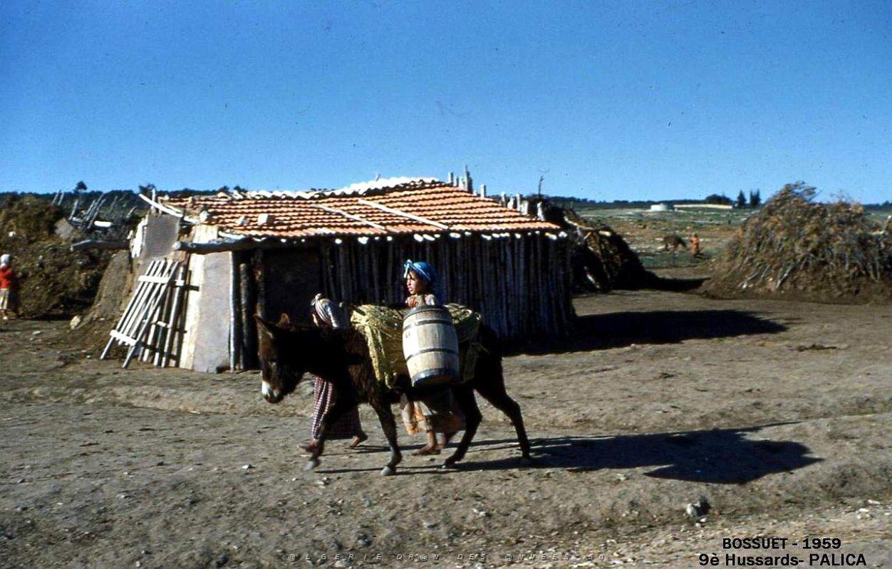 Palica - Divers 035.JPG